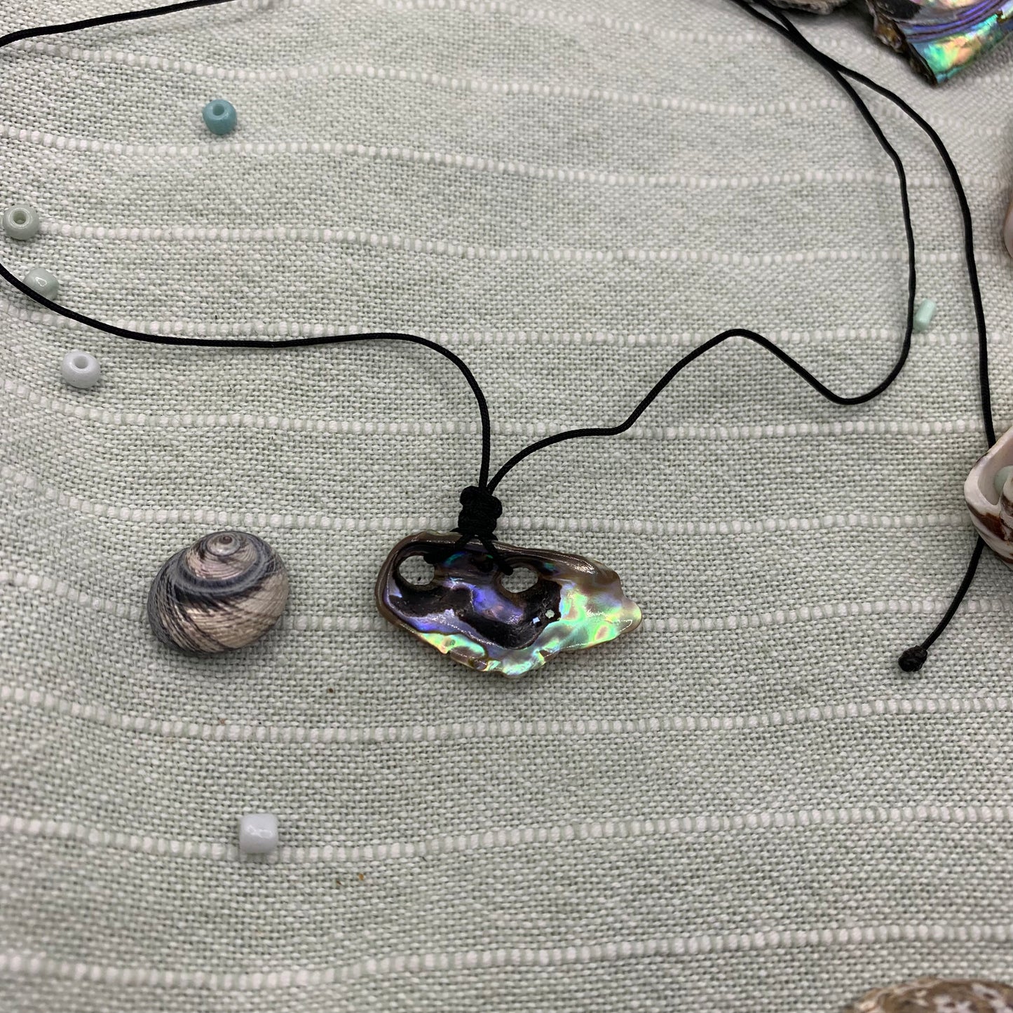 Necklace | paua shell nylon cord
