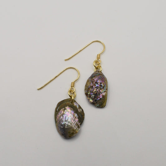 Salty Dreamers Earrings | Paua Shell Mahaki are gold-plated silver hook earrings with iridescent oval pāua shell pendants, shown on a plain white background—an elegant handmade accessory for any occasion.