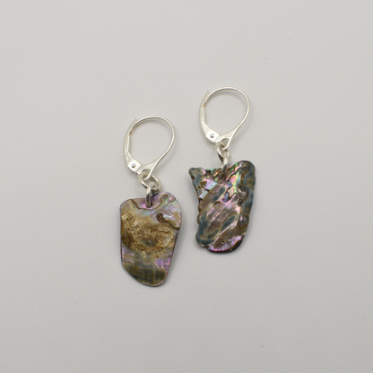 Ohrringe Paua-Muschel Kiri in Silber: naturbelassene Paua-Muscheln in Oliv und Violett, handgemacht in Kiel