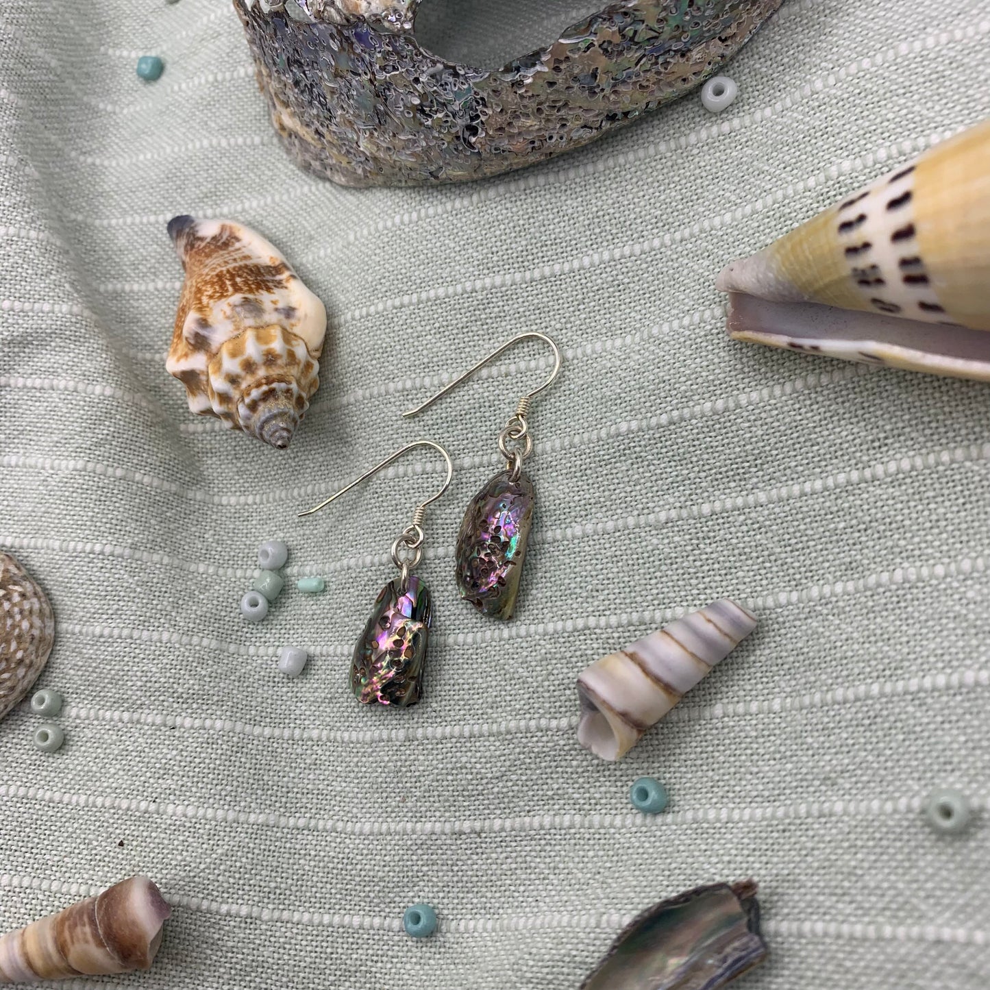 Earrings | paua shell 925 silver