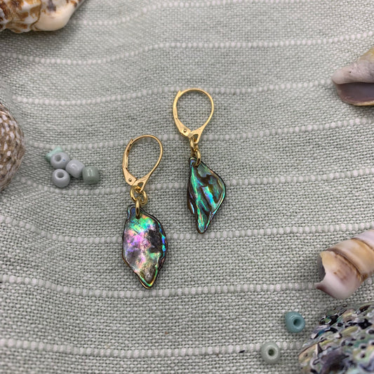 Earrings | paua shell gold plated