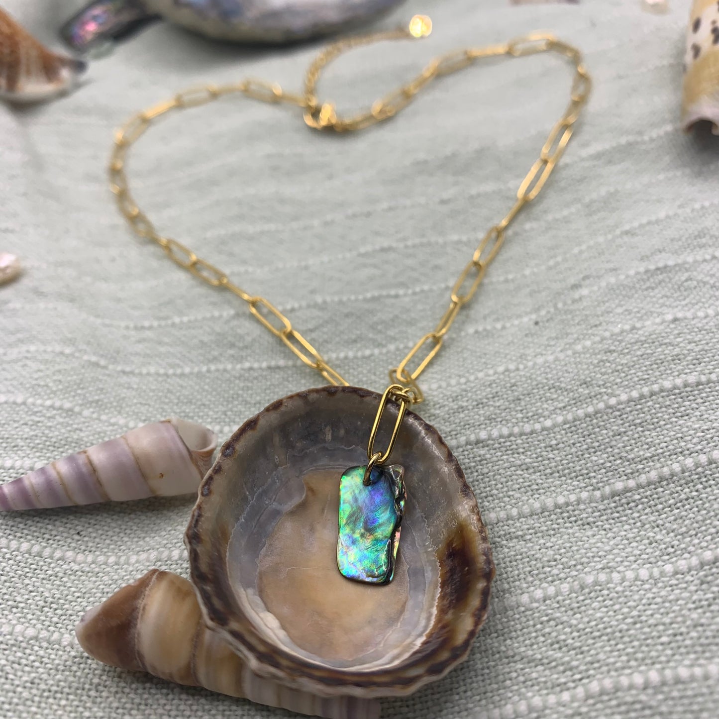 Necklace | paua shell 40 cm golden stainless steel