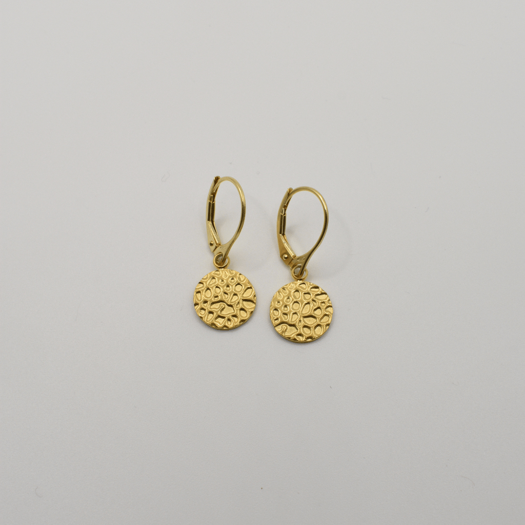 Earrings | Gold Circle
