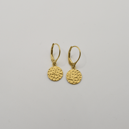 Earrings | Gold Circle