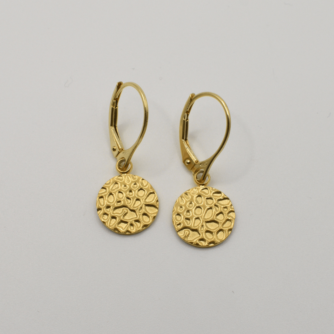 Earrings | Gold Circle