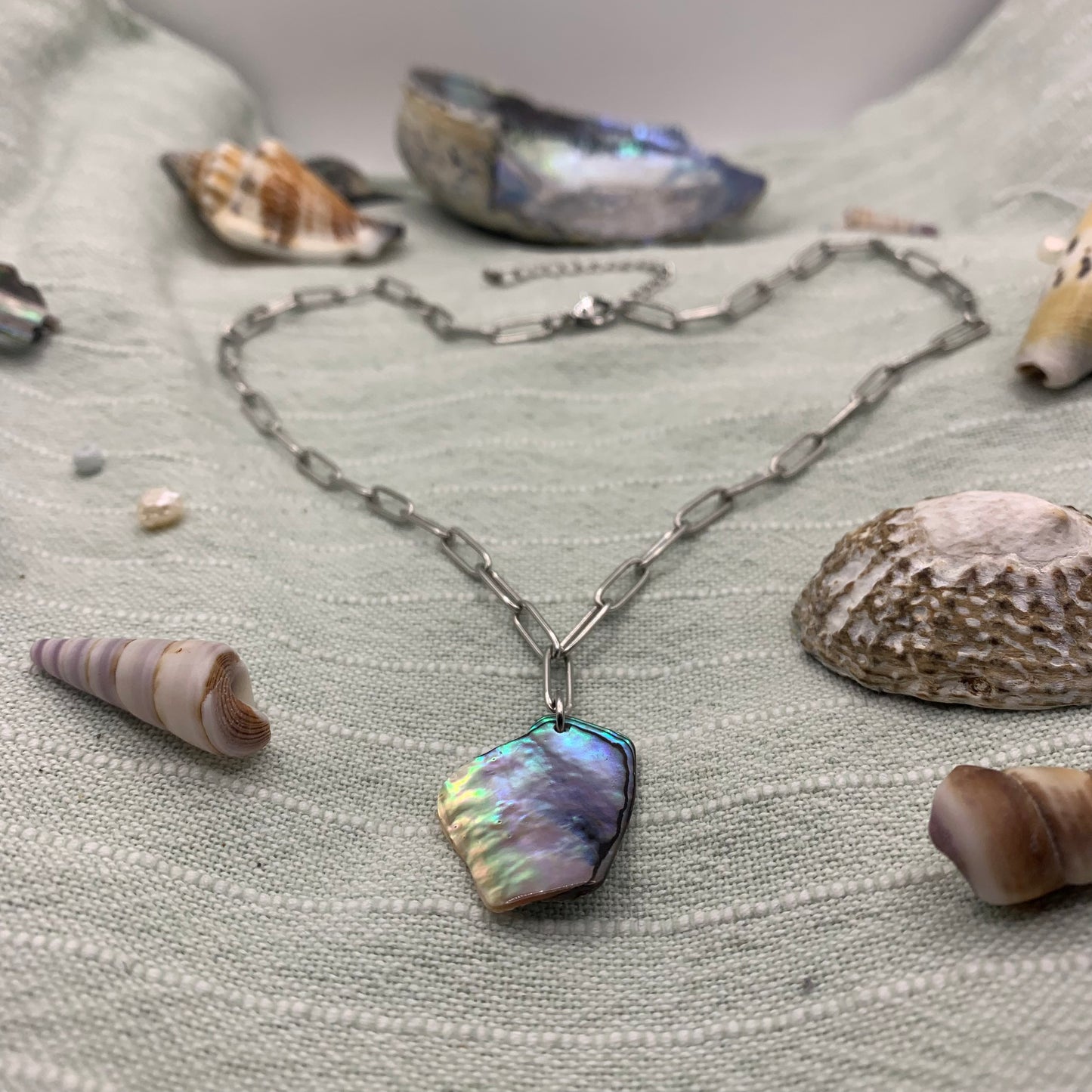 Necklace | paua shell 40 cm stainless steel paperclip