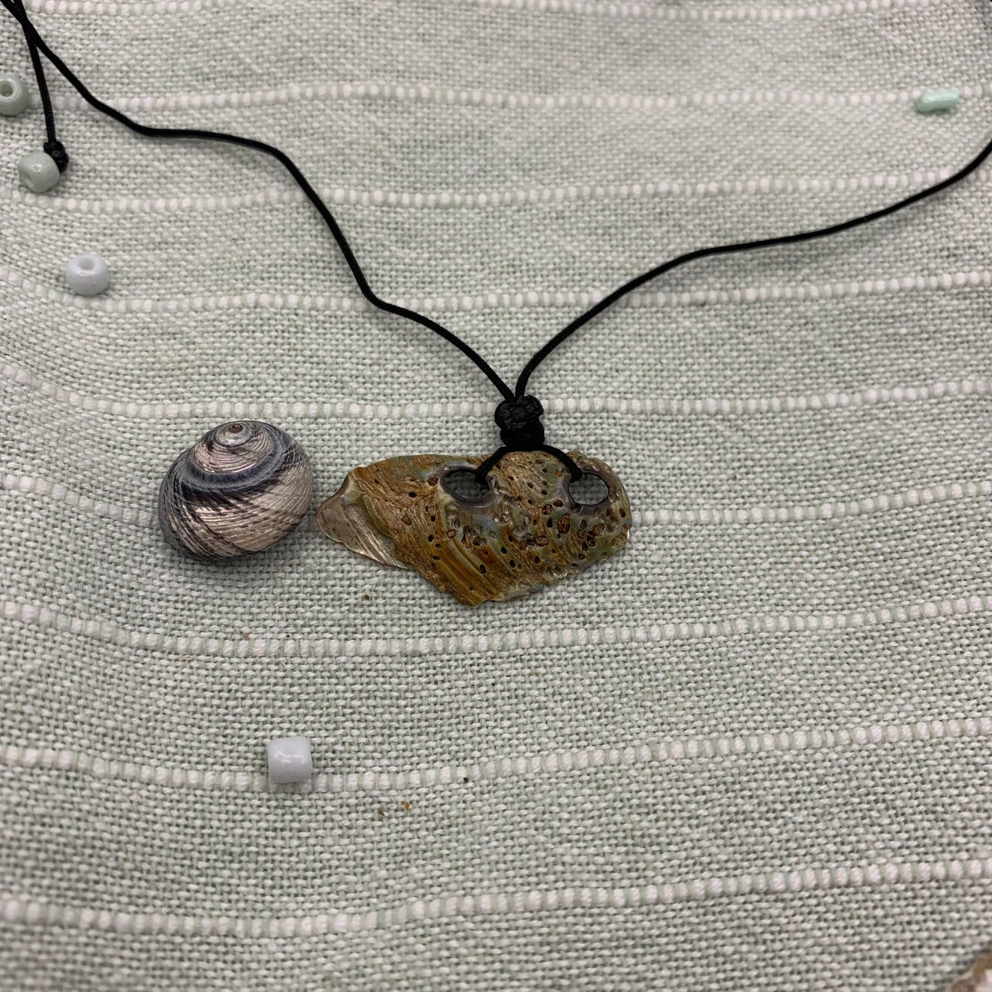 Necklace | paua shell nylon cord