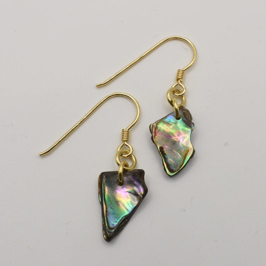 The Salty Dreamers Earrings | Paua Shell Uru feature irregular, iridescent pāua shell pendants on gold hooks, capturing distinctive New Zealand style against a plain white background.