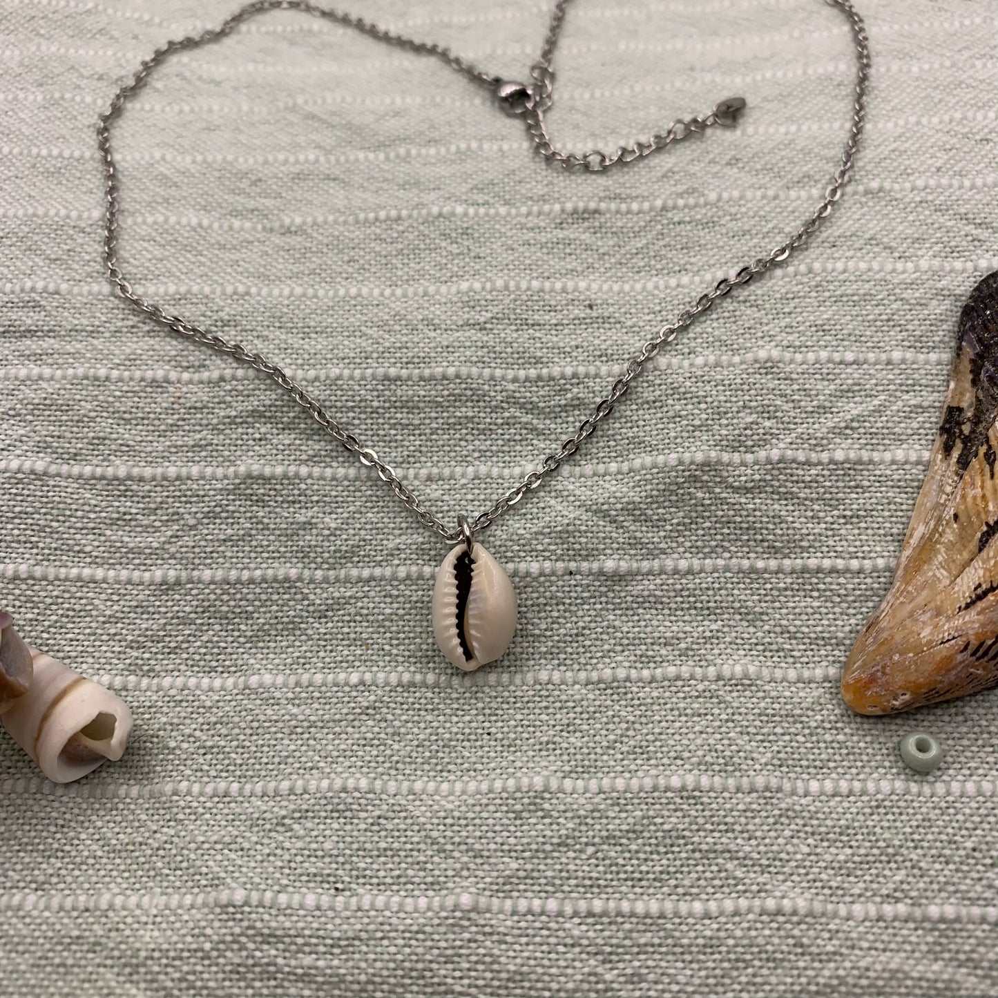 Halskette | Kauri Muschel 40 cm Edelstahl