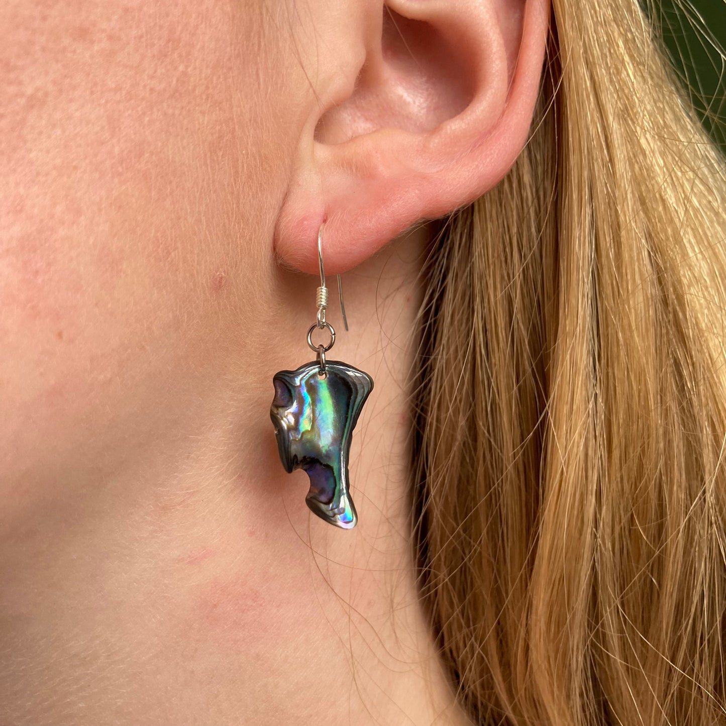 Earrings | paua shell 925 silver